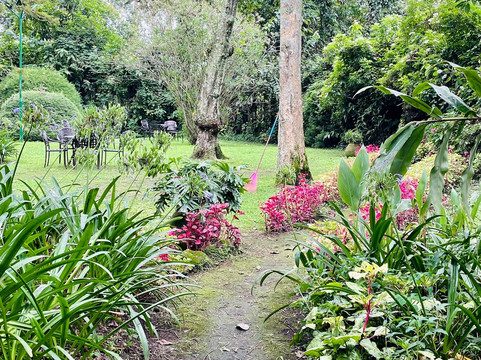 Travellers Rest Hotel主图