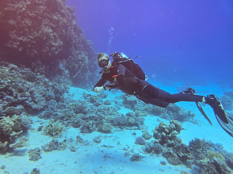 Blue Submarine Diving Center Safaga-Safaga必去景点