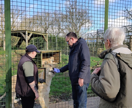 The Big Cat Sanctuary-Smarden必去景点