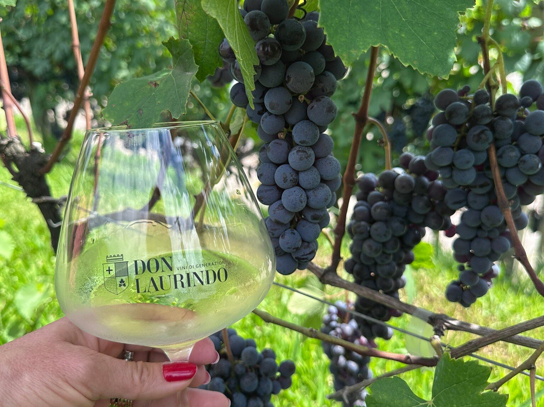 Don Laurindo-本图贡萨尔维斯必去景点