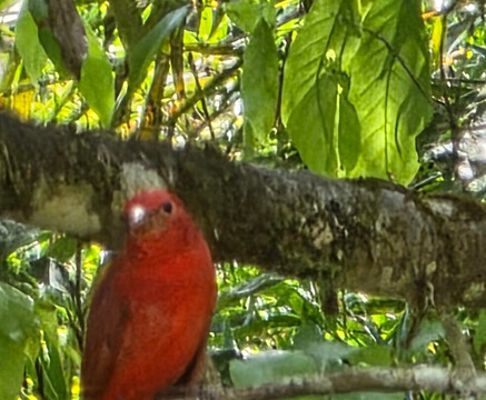 内陆自然保护区酒店主图