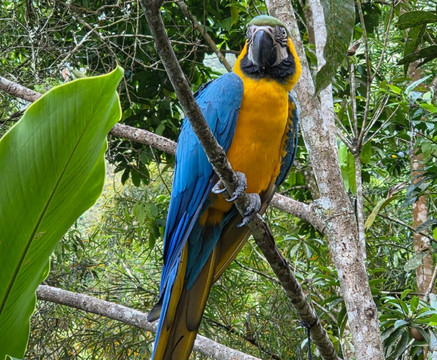 内陆自然保护区酒店主图