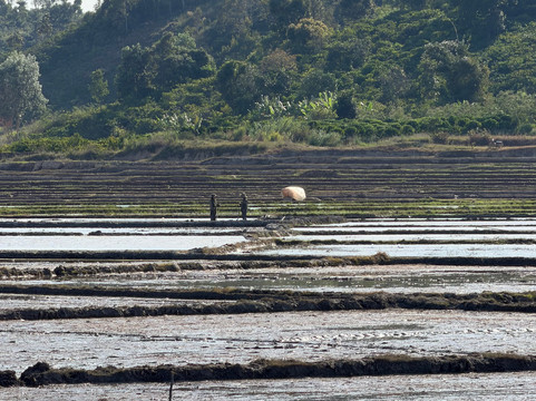 Mui Ne Easy Rider-美奈必去景点