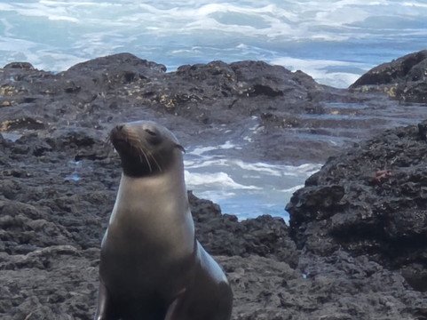 Columbus Travel-基多必去景点