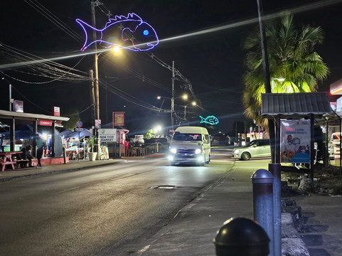 Oistins Fish Fry-奥伊斯廷斯必去景点