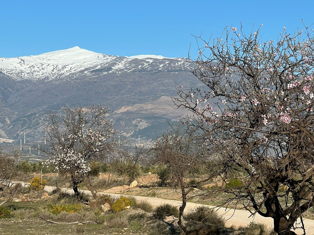 格拉纳达埃斯佩兰萨酒店主图