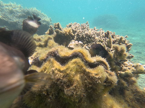 Kayak Transparent Reunion-拉萨里讷雷班必去景点