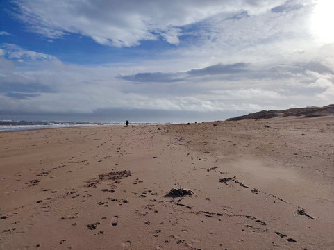 Newburgh Seals Beach-Newburgh必去景点