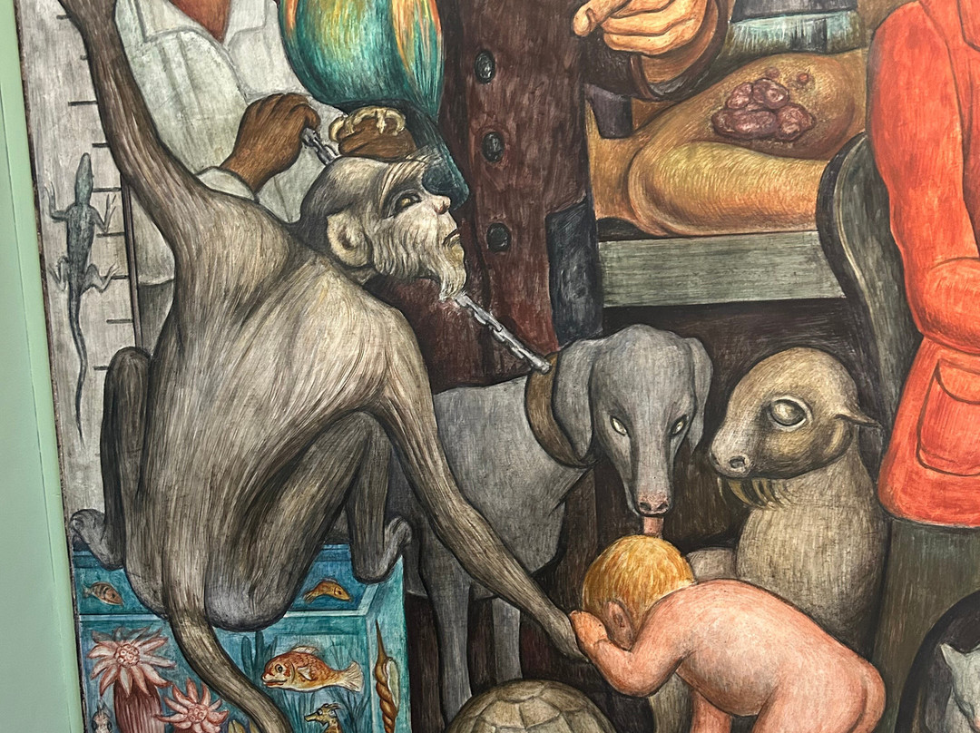 Ballet Folklórico de México-墨西哥城必去景点