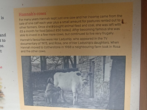 Hannah's Meadow-Barnard Castle必去景点