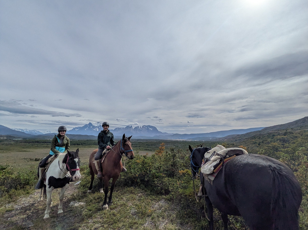 Cimarrón Tours - Torres del  Paine-Torres del Paine必去景点