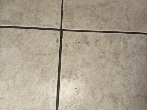 湖城北伊克诺旅馆主图