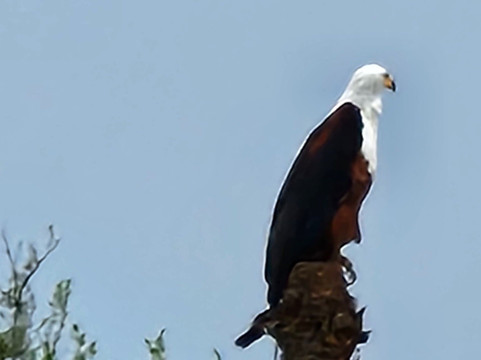 Queen Elizabeth National Park-Kasese必去景点