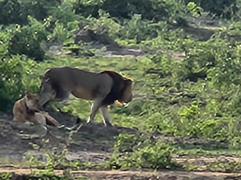 Queen Elizabeth National Park-Kasese必去景点