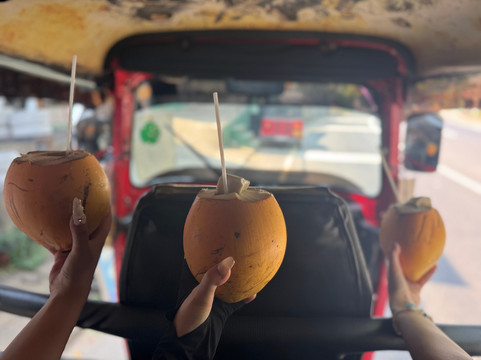 Kandy Blossom Tours-Deraniyagala必去景点