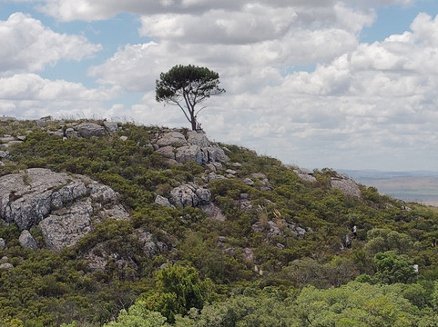 Cerro del Toro-Piriapolis必去景点