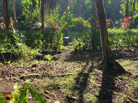 Ave Azul de la Osa-Carate必去景点