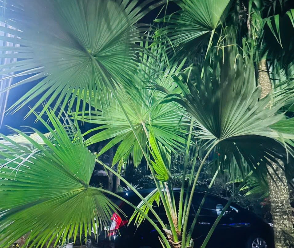 Dong Du Village Responsible Tourism-Nghia Thuan必去景点