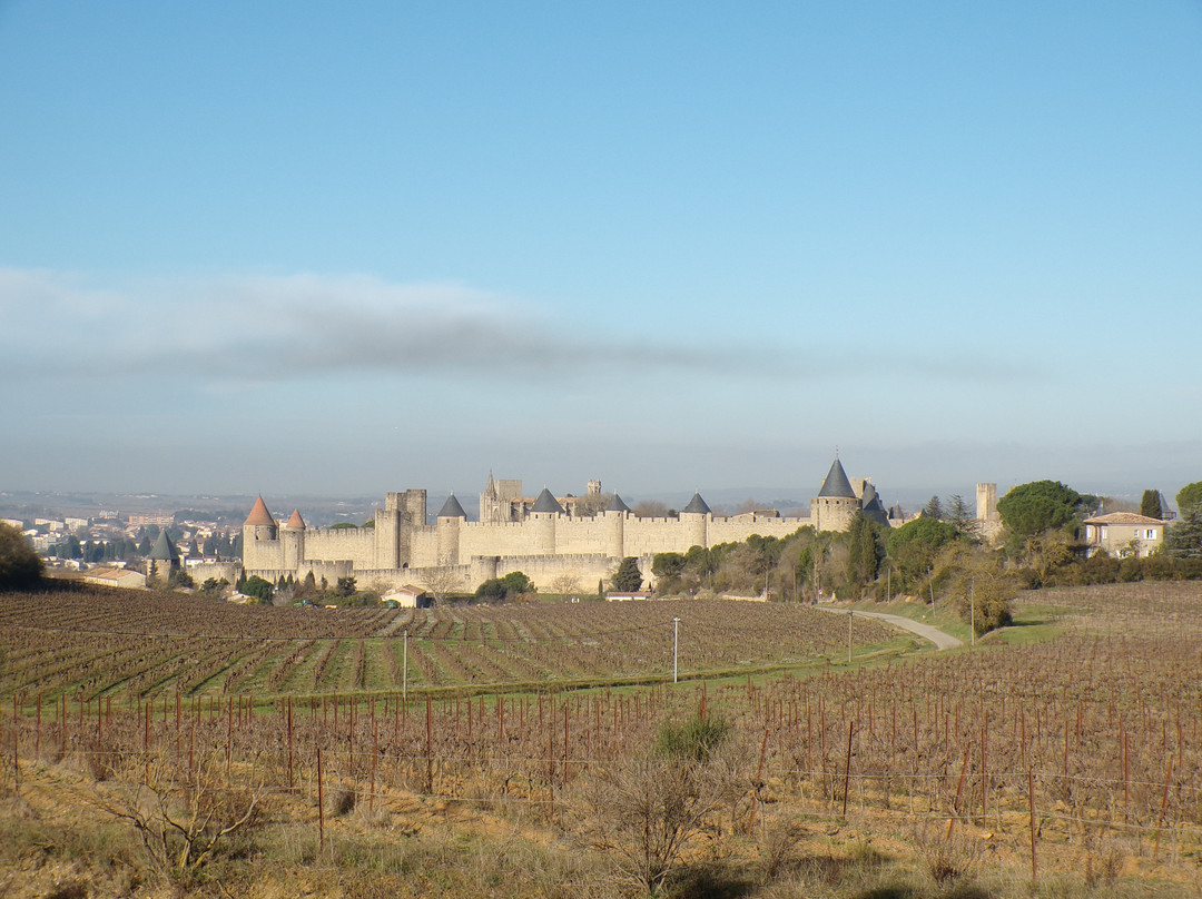 Chambres d'hôtes & Spa le Relais de la Cavayere主图