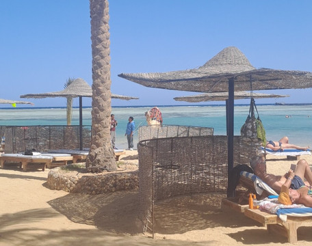 Elphinstone Reef-马萨阿拉姆必去景点