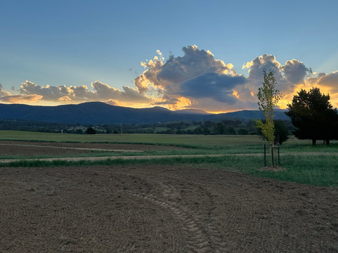 兰阳历史农舍-堪培拉必去景点