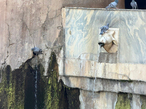 Le Tour De India-斋蒲尔必去景点