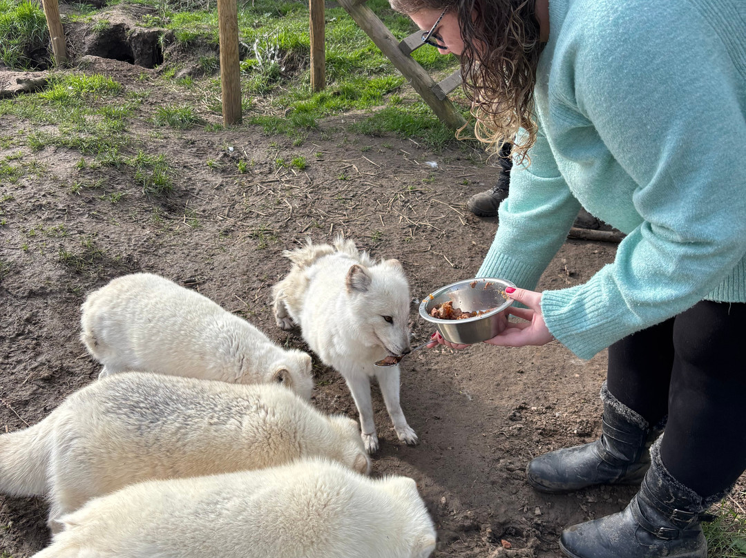 Ark Wildlife Park & Exotic Animal Sanctuary-Stickney必去景点