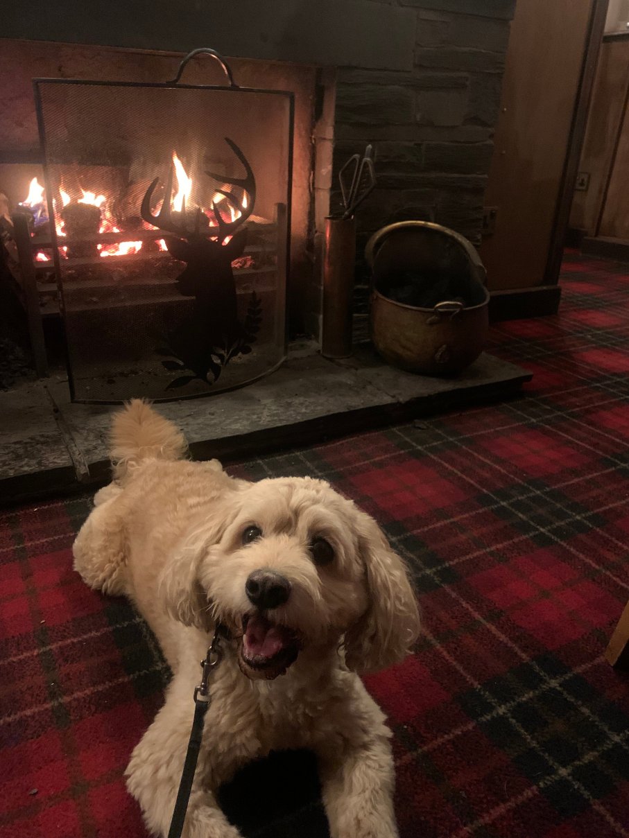 凡人假日客栈-官方