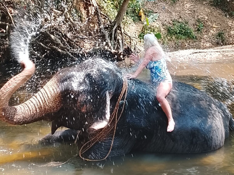 Maharaja Elephants Save Project-凯格勒 必去景点