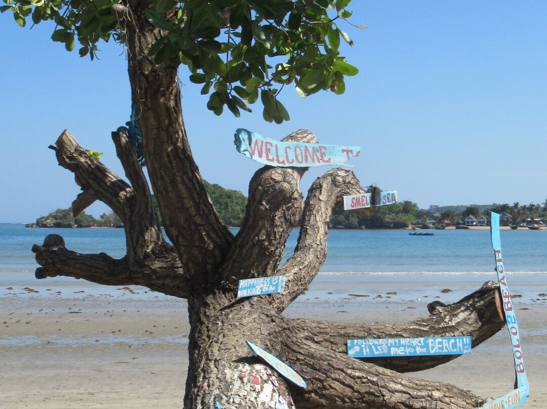 Bolo Beach-阿拉米诺市必去景点