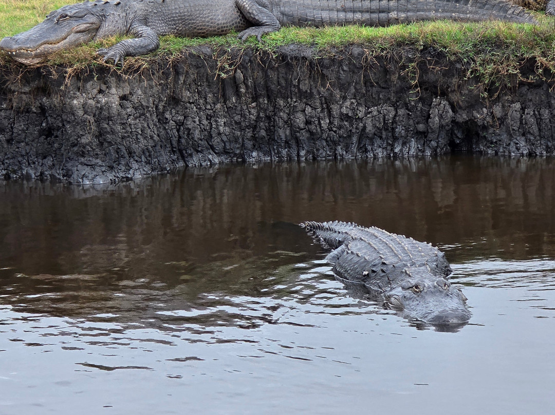 AirBoat Rides at Midway-Christmas必去景点