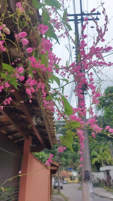 坦波瑞伊酒店-官方