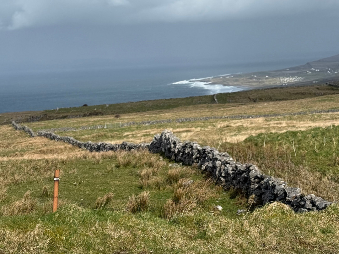 Mountain View Horse Riding Centre-Lisdoonvarna必去景点