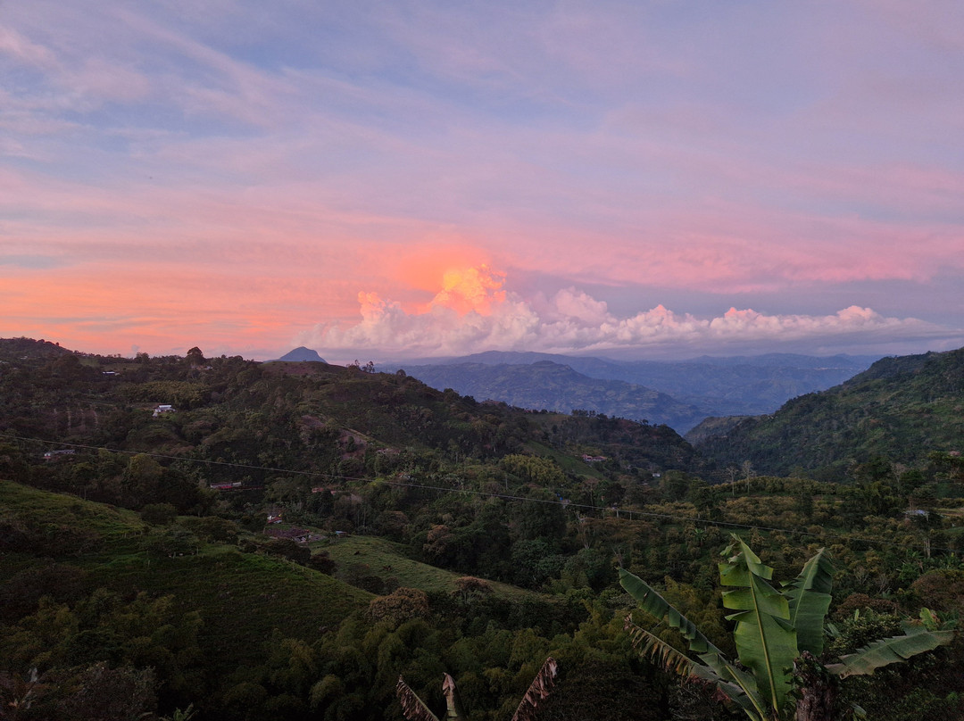 Ecoturismo La Nohelia-Jerico必去景点