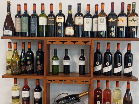 Bodegas Carrau-蒙得维的亚必去景点