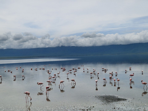 Zara Tanzania Adventures-莫西必去景点