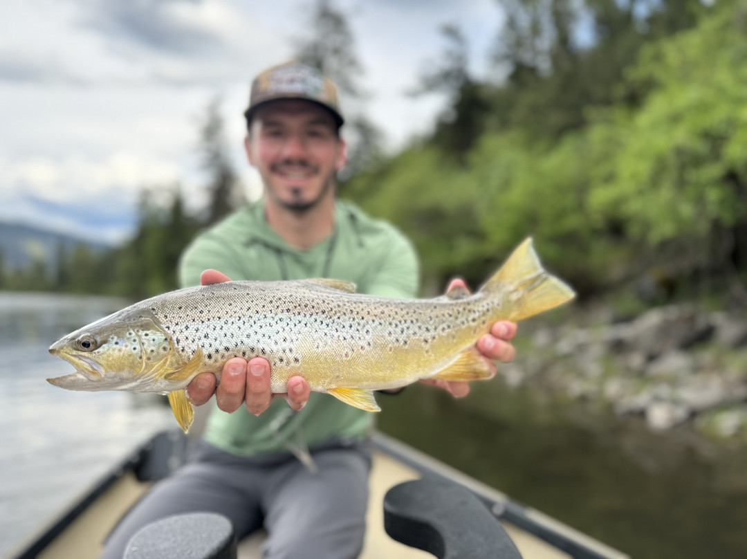Clark Fork Trout-Saint Regis必去景点