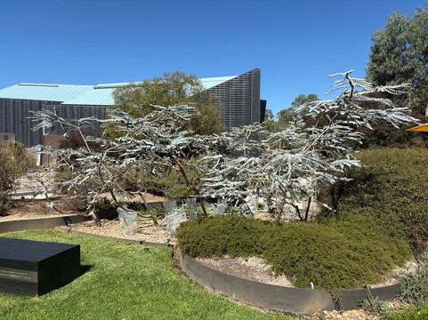 澳大利亚国家博物馆-堪培拉必去景点