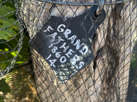 Henschke-Keyneton必去景点