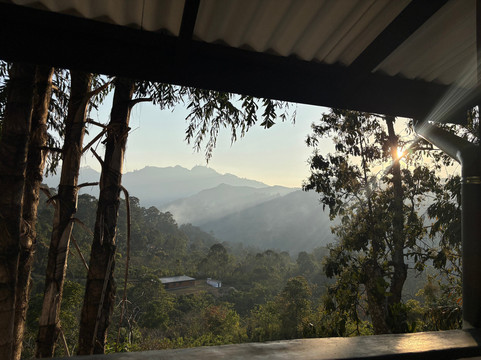 Amba Estate Farmstay主图