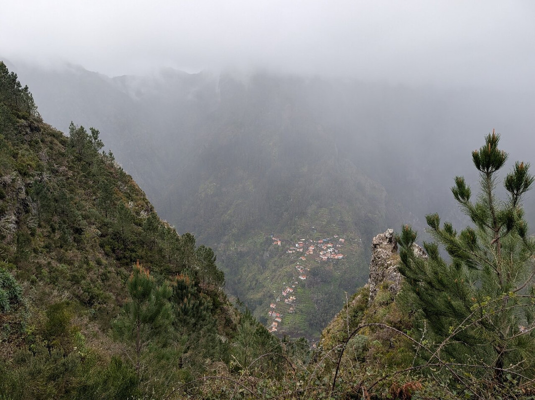 Miradouro Eira do Serrado-Camara De Lobos必去景点