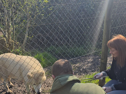 Wingham Wildlife Park-Wingham必去景点