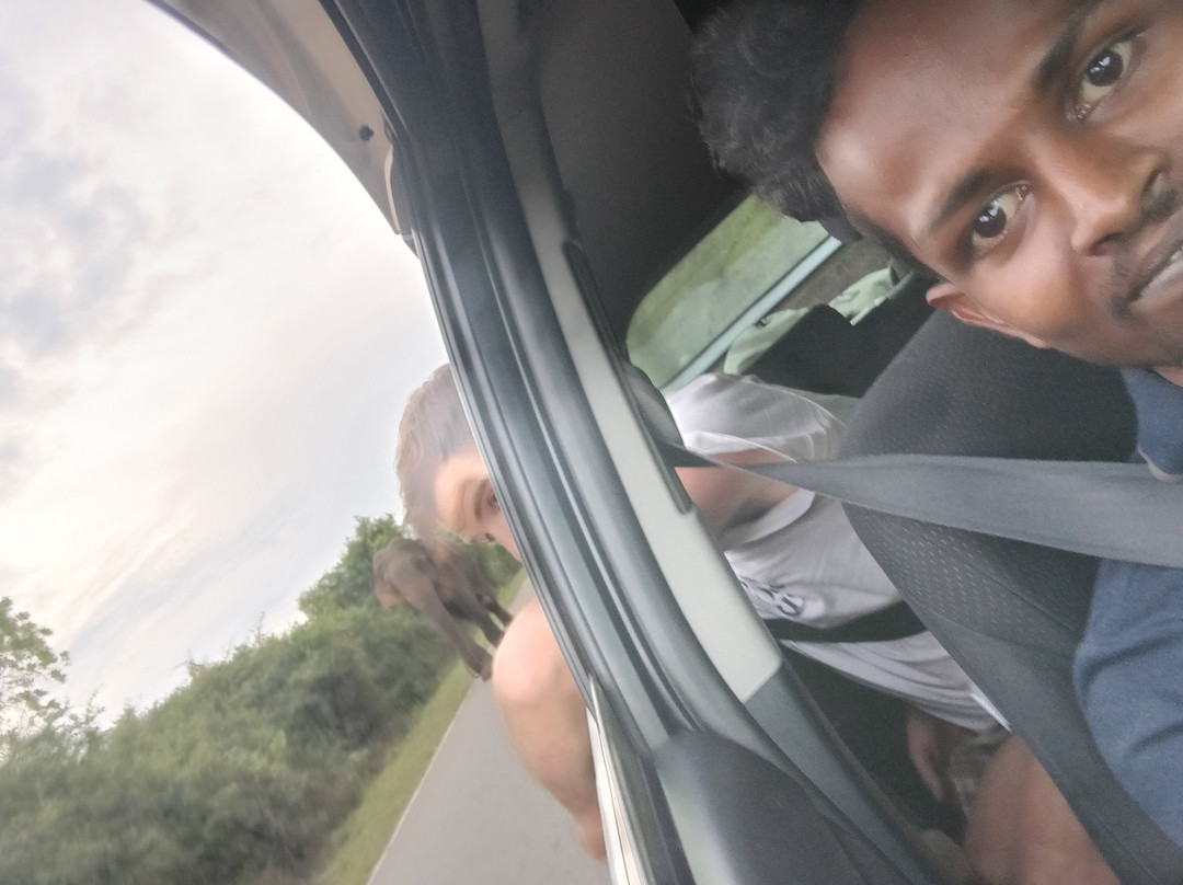 I M TRAVELS & TOURS-Denipitiya Central必去景点