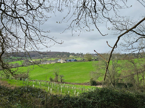 佩恩斯威克洛可可花园-Painswick必去景点