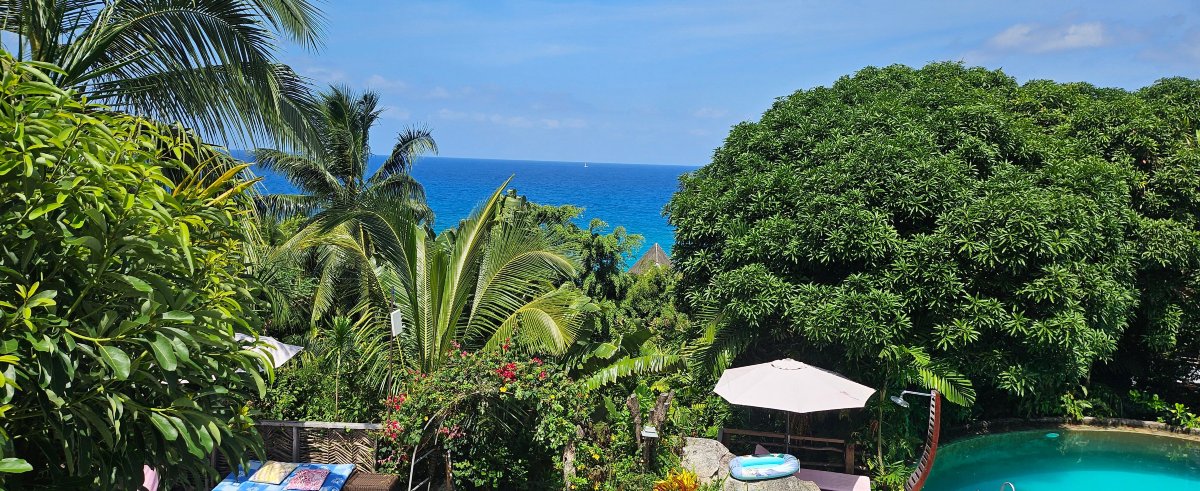 塞舌尔布里斯精品酒店-泳池