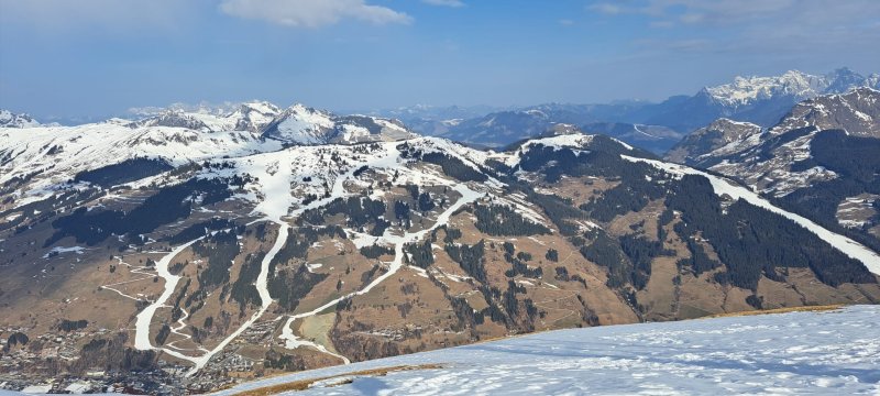 特雷西亚酒店-官方