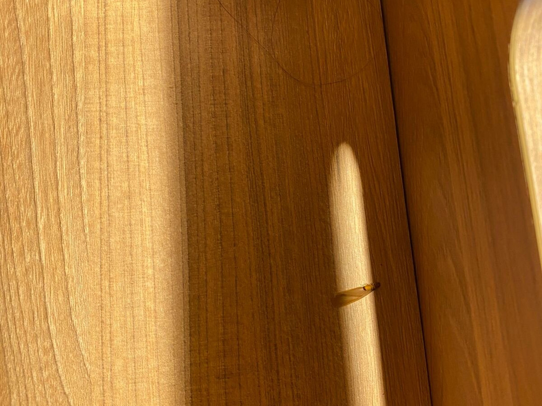 宜必思快捷法罗皮利亚酒店主图