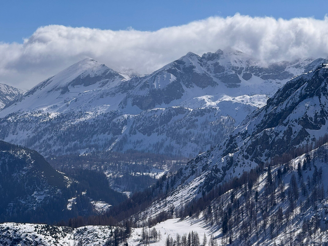 Sportalmmm酒店主图