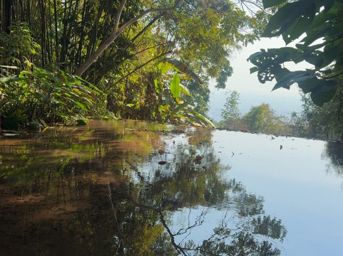 Mon Beau Trip-Falicon必去景点
