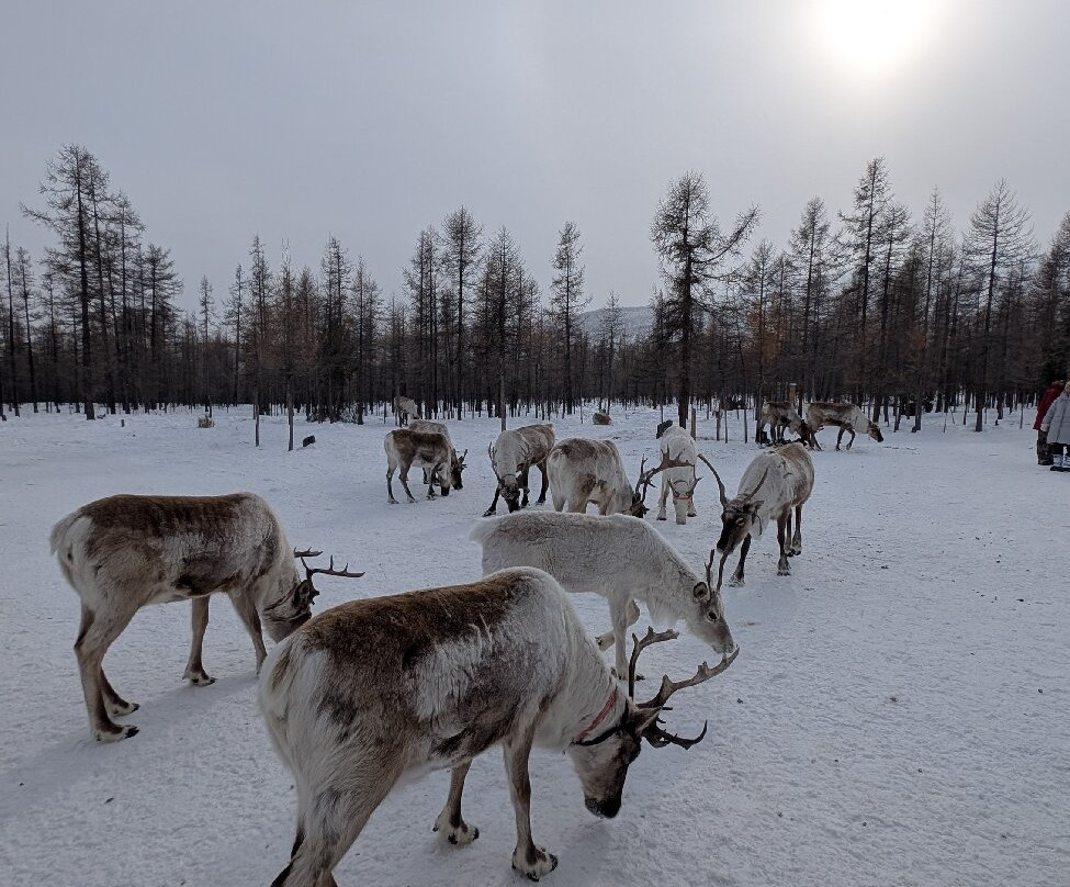 Kazakh Tour-Olgiy必去景点